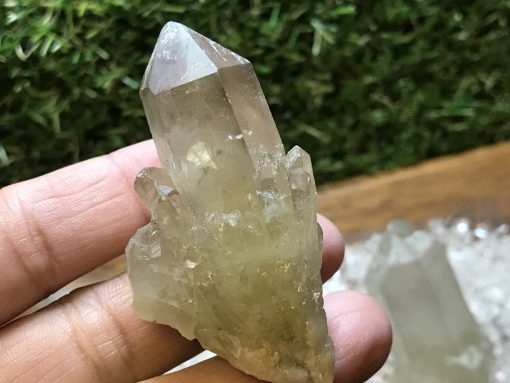 Tibetan Citrine cluster set - Image 4