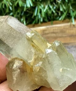 Alternative view of Citrine Cluster - Tibetan Citrine Quartz Cluster