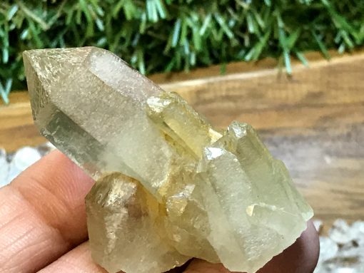 Citrine Cluster - Tibetan Citrine Quartz Cluster - Image 2