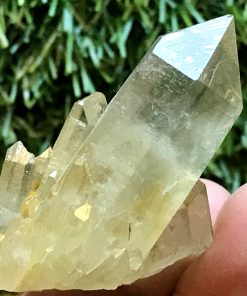 tibetan citrine quartz