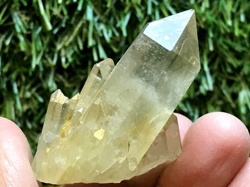 tibetan citrine quartz