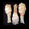 White Sage Mini Bundle Set of 3 Pieces