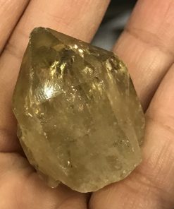 Natural Congo African Citrine point - Kundalini Quartz 2007010265